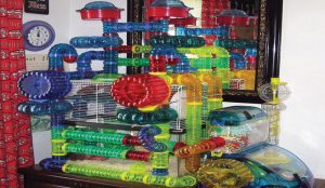 hamster-habitat-tubes